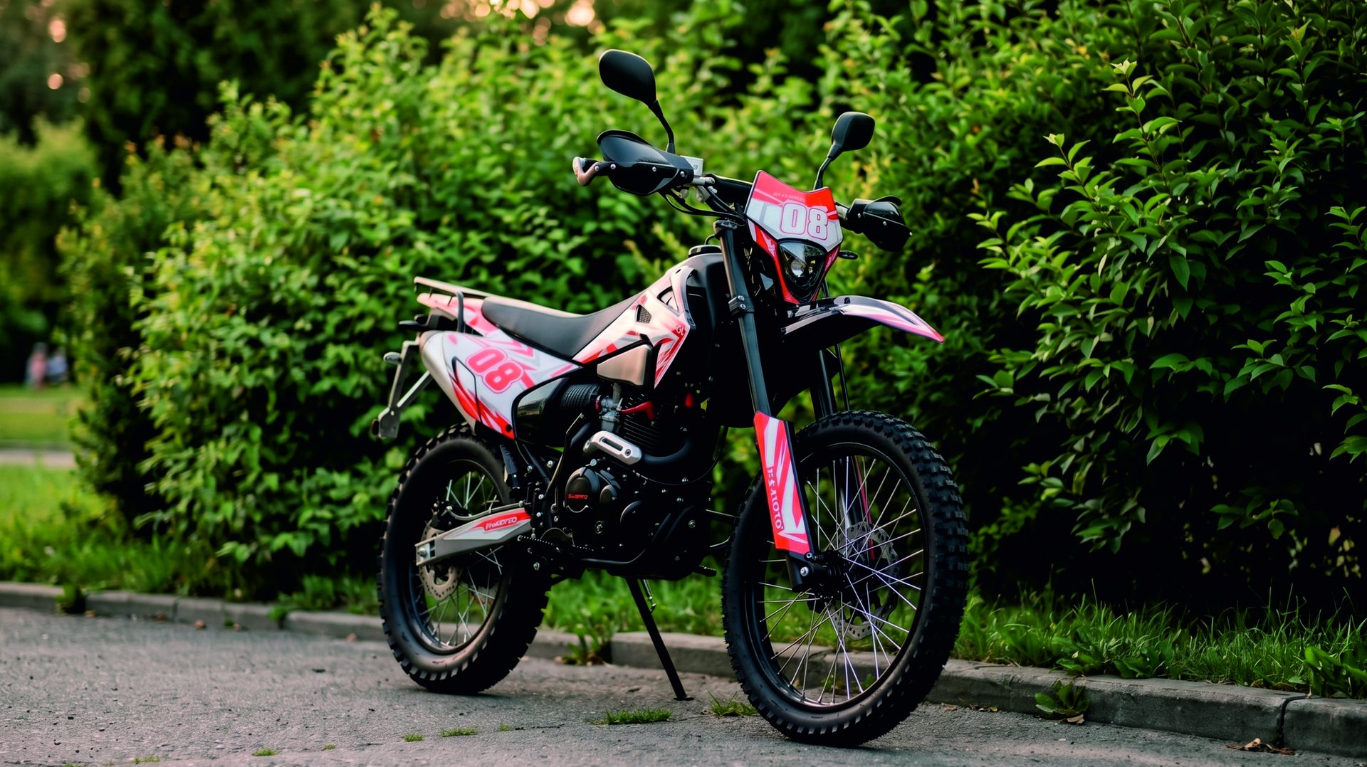 EX-MOTO SR300